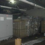 Our Shipment DSC09066RoyalWesta