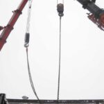 Our Shipment IMG_0172RoyalWesta