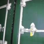 Our Shipment IMG_0197RoyalWesta