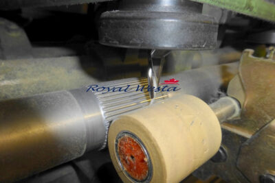 AA10030424DALIIMComplete Acrylic Spinning Line, Royalwesta, Gaudino (6)