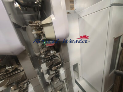 AB45071024ETA-TFBYZINSER 351 LINKED SCHLAFHORST 338, Royalwesta (4)