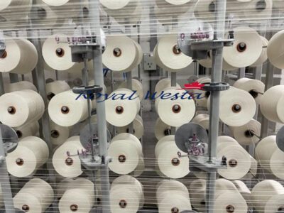 AA10230925ELC-OMVTA Sectional Warper NC 850, Royalwesta (10)