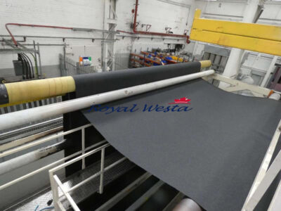 AF12251024EYRL-RLMAX Dilo Needleloom Nonwoven Line-FinishingRoyalWesta (10)