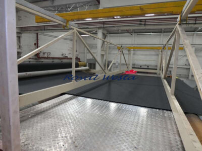 AF12251024EYRL-RLMAX Dilo Needleloom Nonwoven Line-FinishingRoyalWesta (18)