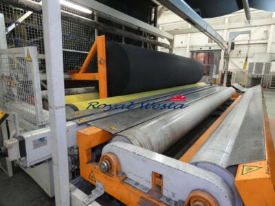 AF12251024EYRL-RLMAX Dilo Needleloom Nonwoven Line-FinishingRoyalWesta (4)