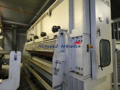AF12251024EYRL-RLMAX Dilo Needleloom Nonwoven Line-NeedlepunchRoyalWesta (25)
