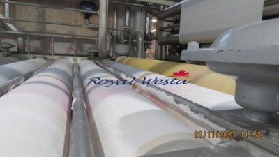 AC96161224EOAL-RLMMenzel Mercerizing and WashingRoyalWesta (8)