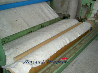 AG47220524ETA-TMAirlay Needling line, Royalwesta (3)