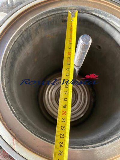 AC06240425 Ugolini Sample DyeingRoyalWesta (3)