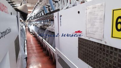 AC29190825ASVolkmann VTS 05-CYear2021RoyalWesta (13)