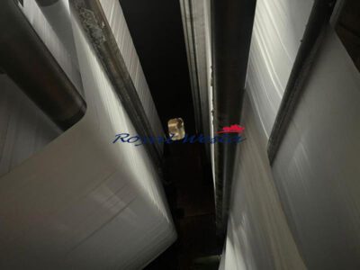 AB55170925 Kuster BleachingRoyalWesta (10)