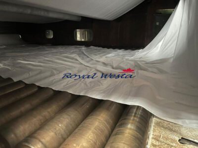 AB55170925 Kuster BleachingRoyalWesta (8)