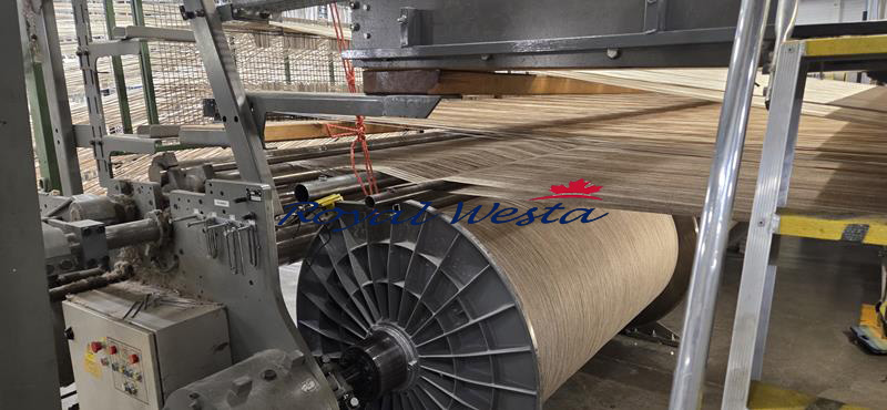 AB64290925AOVan De Wiele Carpet Loom CRT213RoyalWesta (22) AB64290925AOVan De Wiele Carpet Loom CRT213RoyalWesta (22)