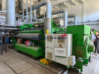AI75290925ELAI-CLFBA Jenbacher J420GS-B25 NOT USEDRoyalWesta (2)