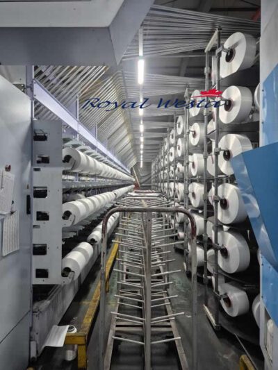 AH82131025DYSL-YLFBCOerlikon-Barmag Texturizing EAFK-PET(Site C), Royalwesta (9)