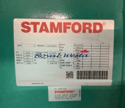 AI77031025EARS.L-AIMBD Cummins GeneratorRoyalWesta (7)