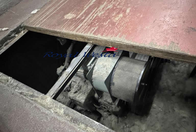 AA03041125AOCOMPLETE WOOLEN LINE, Royalwesta(swift woollen HDB 1990) (14) AA03041125AOCOMPLETE WOOLEN LINE, Royalwesta(swift woollen HDB 1990) (14)