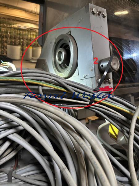 AB64181125ECR-YF M-TEC ShearingRoyalWesta (8) AB64181125ECR-YF M-TEC ShearingRoyalWesta (8)