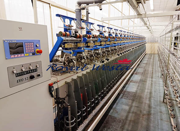 AA08041225Effebitrade ChenilleRoyalWesta (1) AA08041225Effebitrade ChenilleRoyalWesta (1)