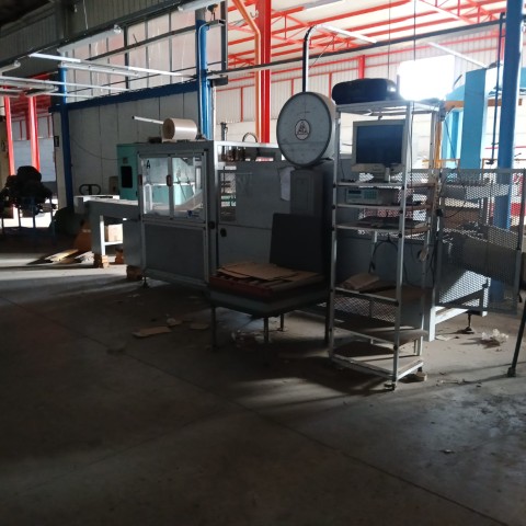 1000253155 (Small) 1000253155 (Small)