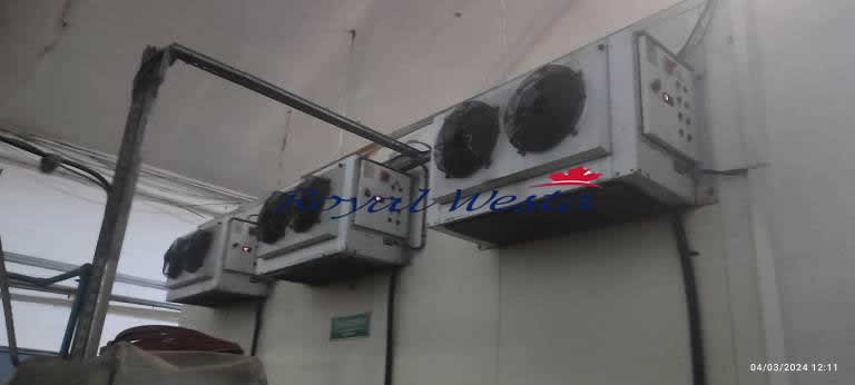 AB65170226ETA-TFBXVACUUM STEAMER, Royalwesta (2) AB65170226ETA-TFBXVACUUM STEAMER, Royalwesta (2)