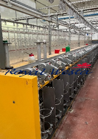 AJ05140226AQHamel Saurer H 1000 pre TwisterRoyalWesta (2) AJ05140226AQHamel Saurer H 1000 pre TwisterRoyalWesta (2)