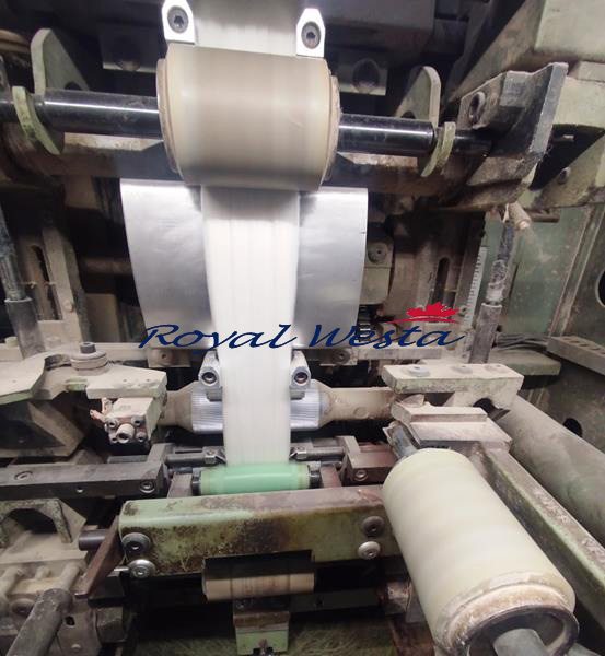 AA98270526ECR-CFAQNSC Vertical Gill Box GV10RoyalWesta (4) AA98270526ECR-CFAQNSC Vertical Gill Box GV10RoyalWesta (4)