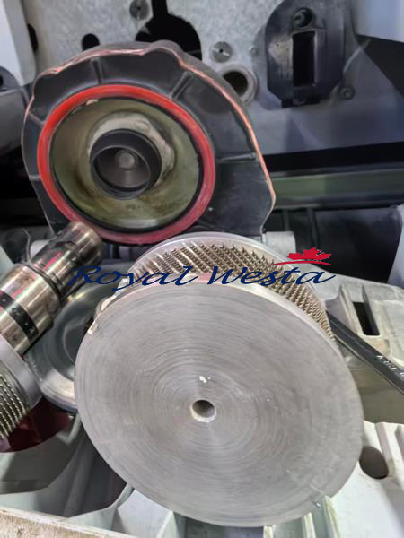 AE30280526DCIC-ACFSaurer BD7 Open EndRoyalWesta (10) AE30280526DCIC-ACFSaurer BD7 Open EndRoyalWesta (10)