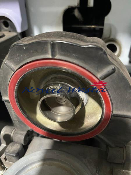 AC11020626CWComplete Open End Line 4840 SpindlesRoyalWesta (21) AC11020626CWComplete Open End Line 4840 SpindlesRoyalWesta (21)