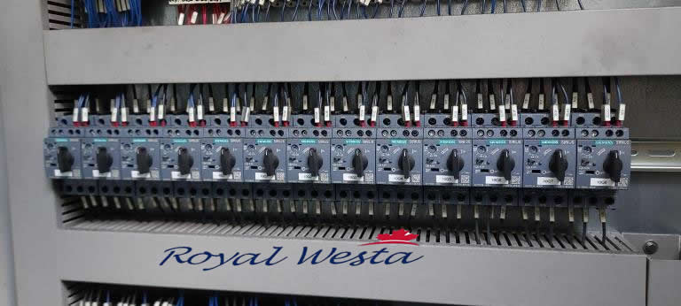 AG47060626ESR-TMDilo Di-lour II Structural Needle Loom, Royalwesta (5) AG47060626ESR-TMDilo Di-lour II Structural Needle Loom, Royalwesta (5)