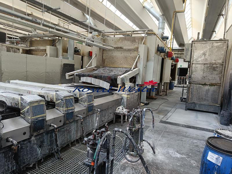 AD63210826REGGIANI UNICA Rotary PrintingRoyalWesta (1) AD63210826REGGIANI UNICA Rotary PrintingRoyalWesta (1)