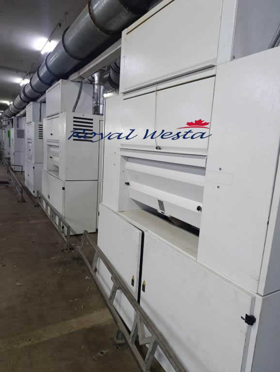 AF48290826DYL-LFBHTrutzschler TC-11 Carding Machines, Royalwesta (15) AF48290826DYL-LFBHTrutzschler TC-11 Carding Machines, Royalwesta (15)
