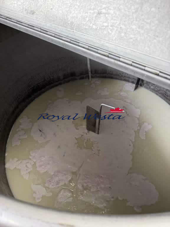 AD78240926THEN Air Jet Dyeing, Royalwesta (11) AD78240926THEN Air Jet Dyeing, Royalwesta (11)