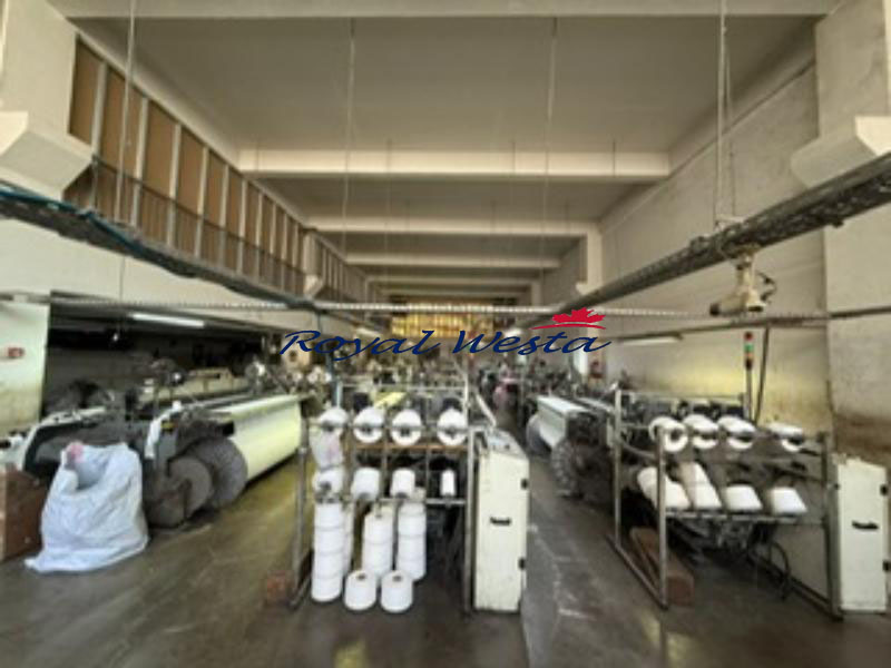 AF89080926EL.OLI-AFASVamatex Looms P1001esRoyalWesta (1) AF89080926EL.OLI-AFASVamatex Looms P1001esRoyalWesta (1)